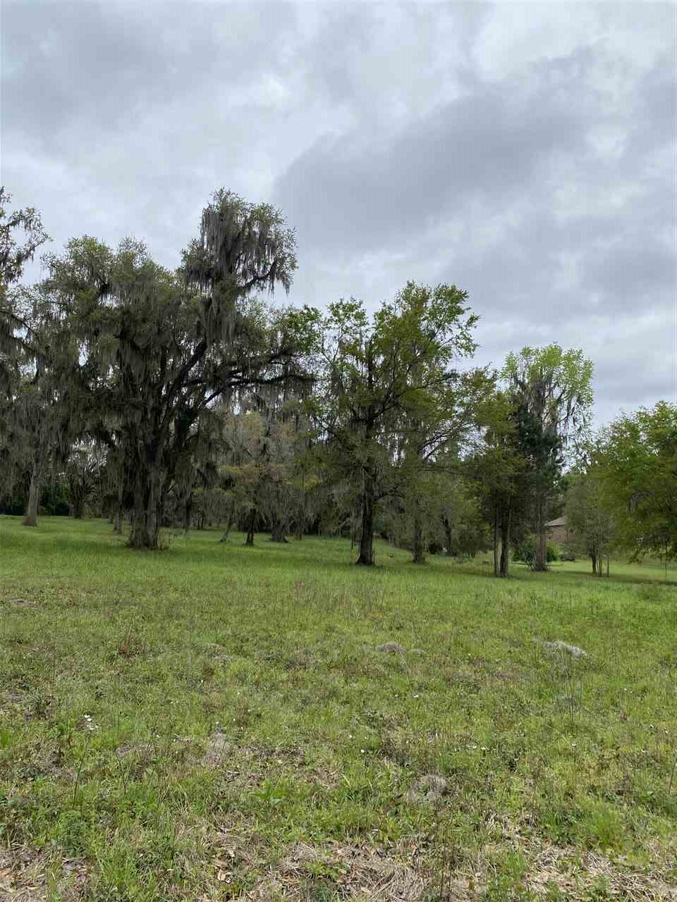 Vacant Silver Lake Road Monticello, FL 32344 - Photo 2 of 20 Gallery Image 2
