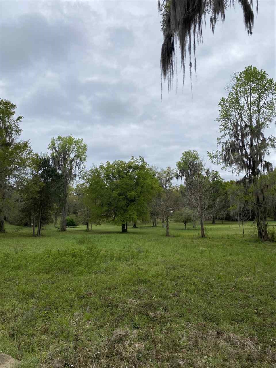 Vacant Silver Lake Road Monticello, FL 32344 - Photo 3 of 20 Gallery Image 3