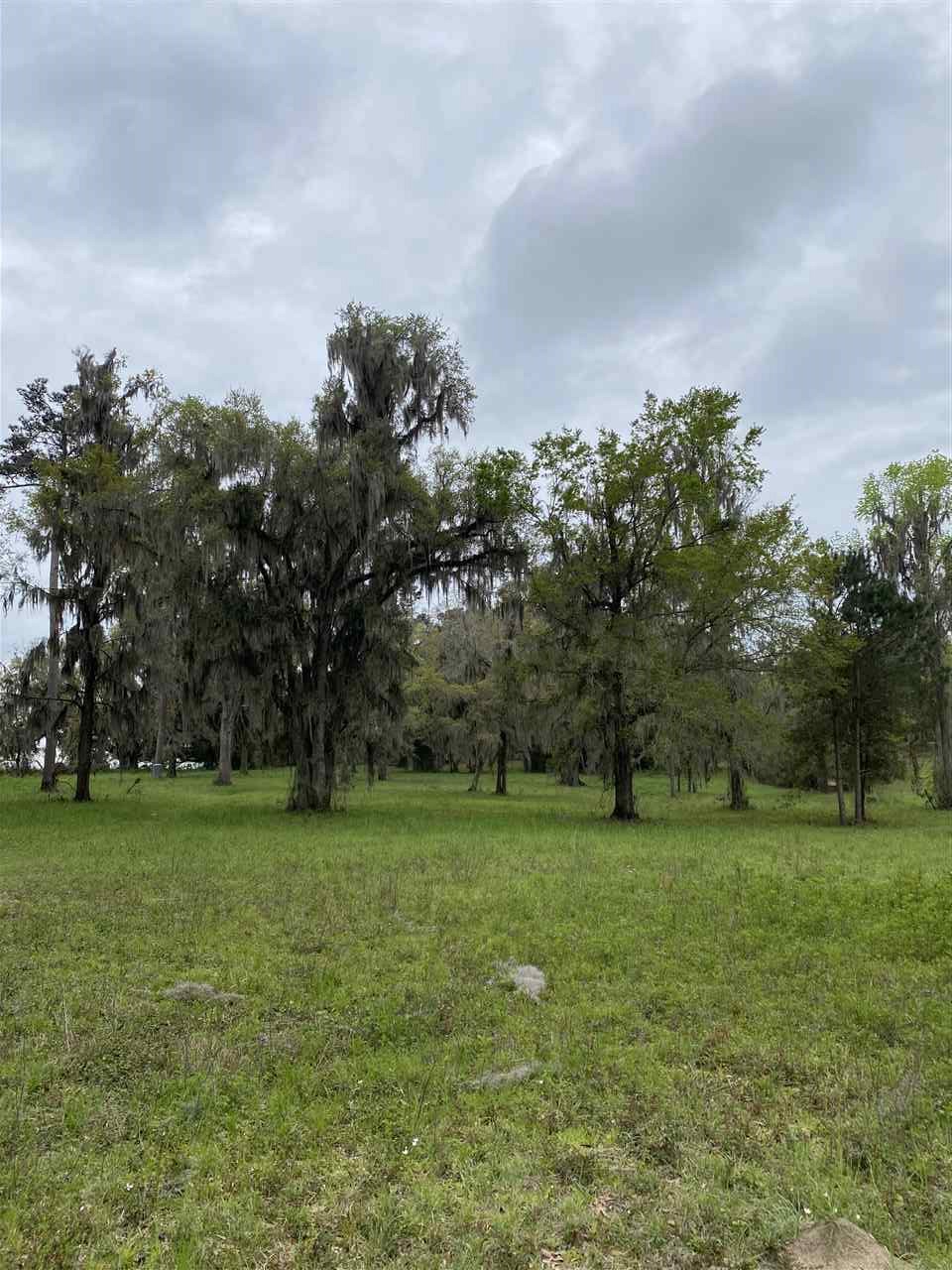 Vacant Silver Lake Road Monticello, FL 32344 - Photo 4 of 20 Gallery Image 4