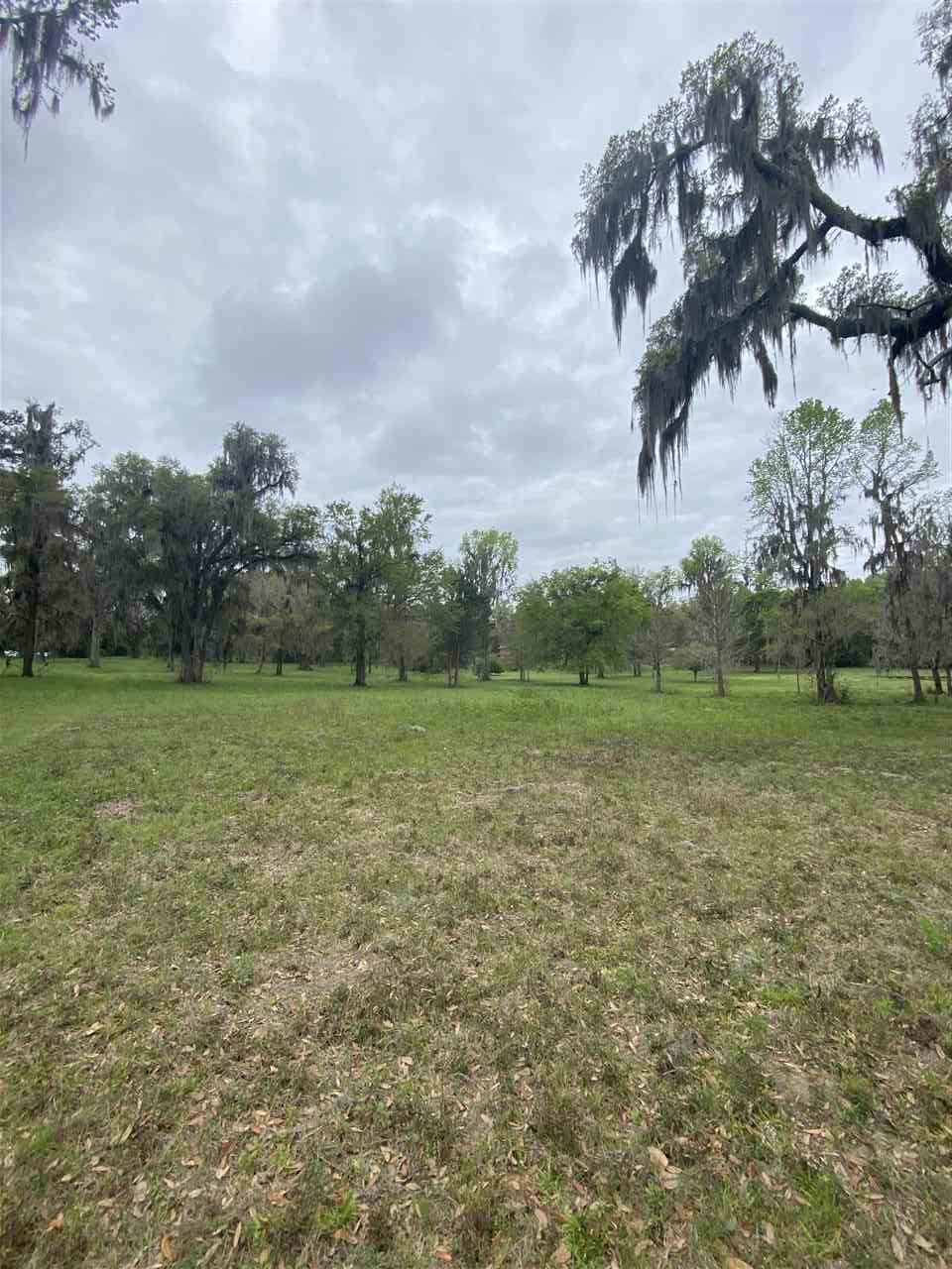Vacant Silver Lake Road Monticello, FL 32344 - Photo 5 of 20 Gallery Image 5