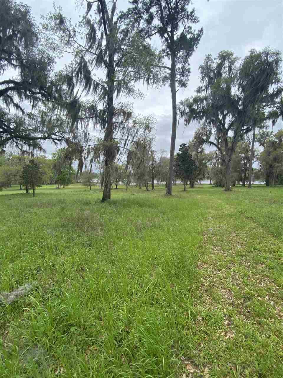Vacant Silver Lake Road Monticello, FL 32344 - Photo 6 of 20 Gallery Image 6