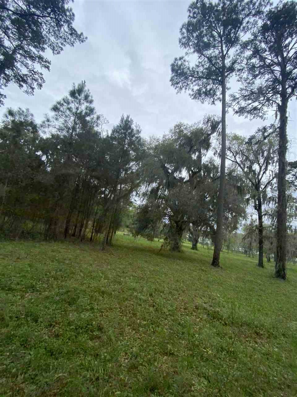 Vacant Silver Lake Road Monticello, FL 32344 - Photo 8 of 20 Gallery Image 8