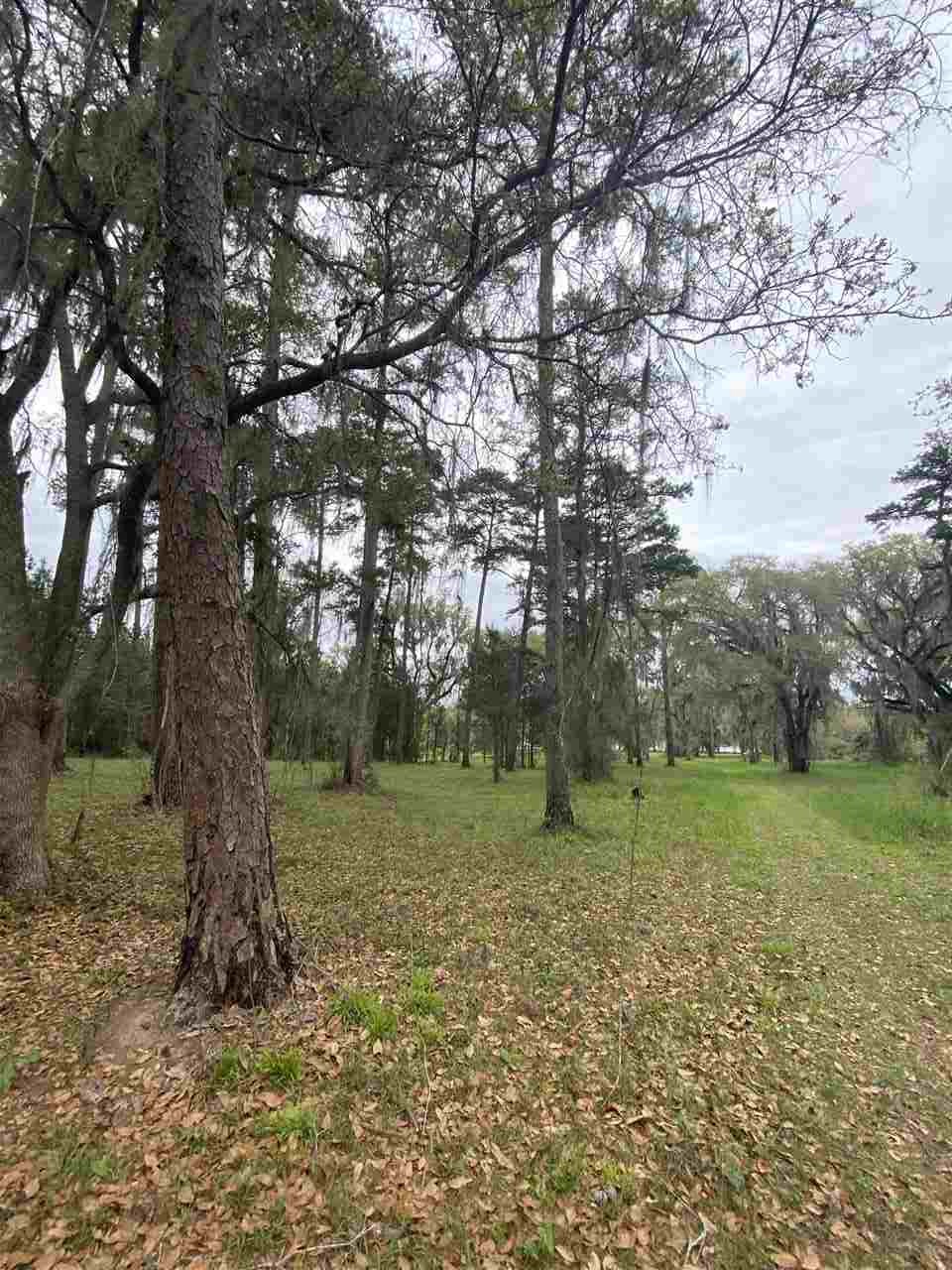 Vacant Silver Lake Road Monticello, FL 32344 - Photo 9 of 20 Gallery Image 9