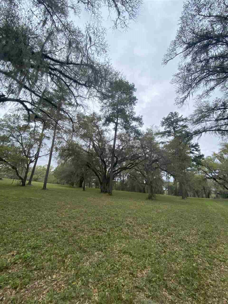 Vacant Silver Lake Road Monticello, FL 32344 - Photo 10 of 20 Gallery Image 10
