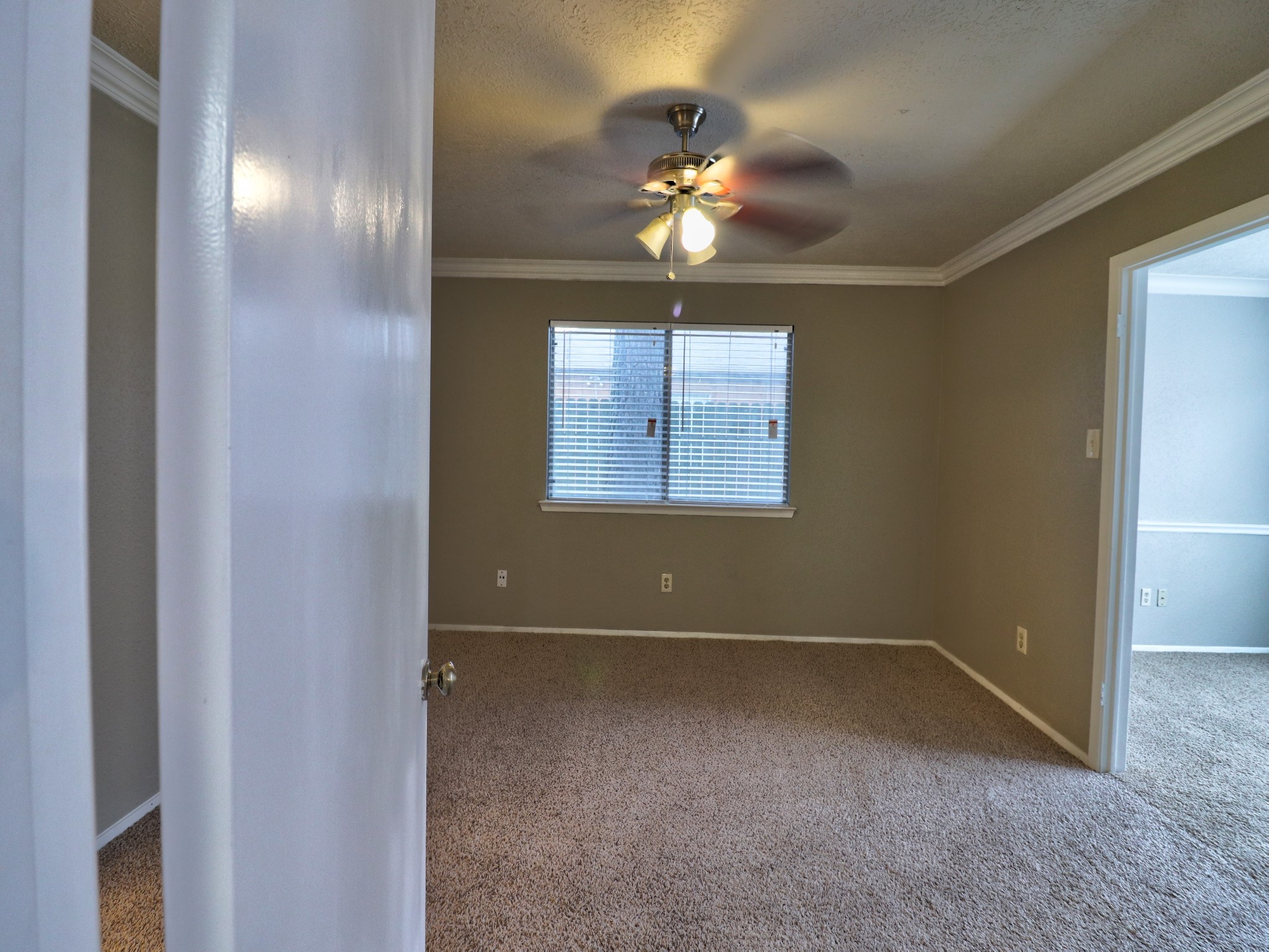 9203 Danforth Way Houston, TX 77083 - Photo 13 of 24