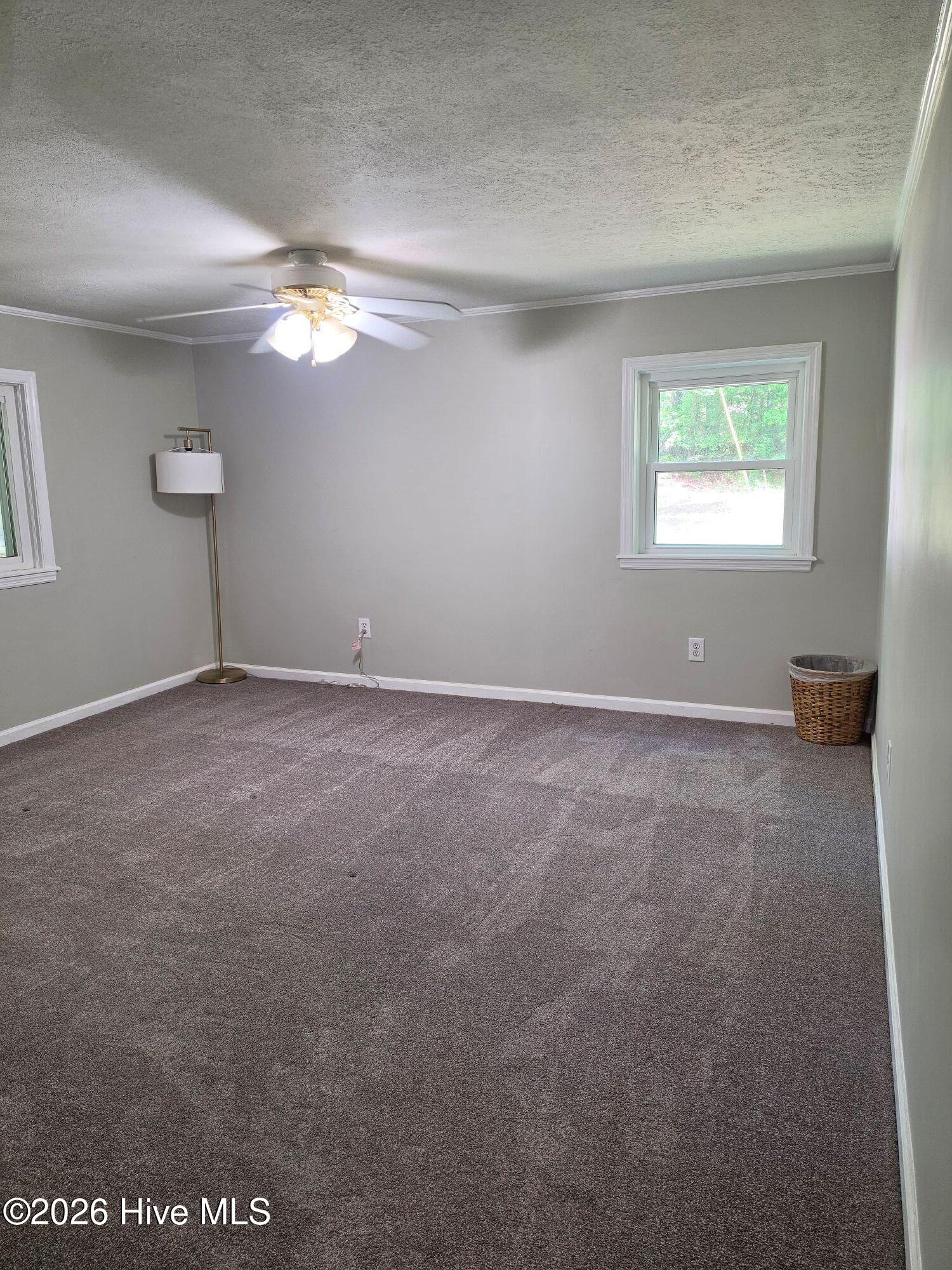 480 Mt Pleasant Road Ridge Spring, SC 29129 - Photo 5 of 29 bed1