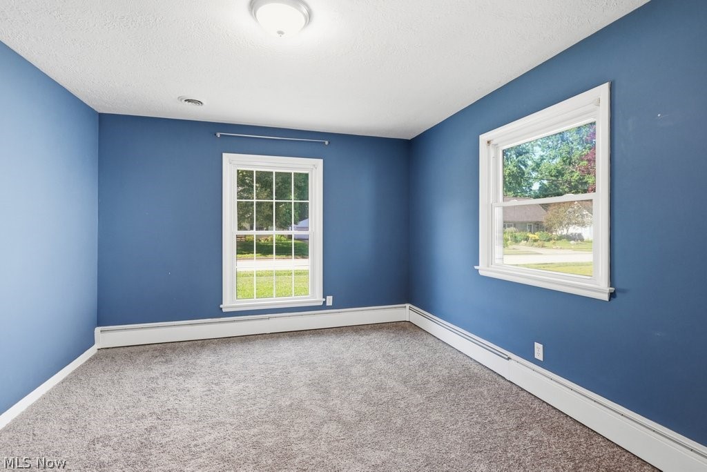 136 Pinehurst Road Munroe Falls, OH 44262 - Photo 20 of 48 Spacious room featuring two windows with white trim, carpeting, baseboard heating, and a ceiling-mounted light fixture
