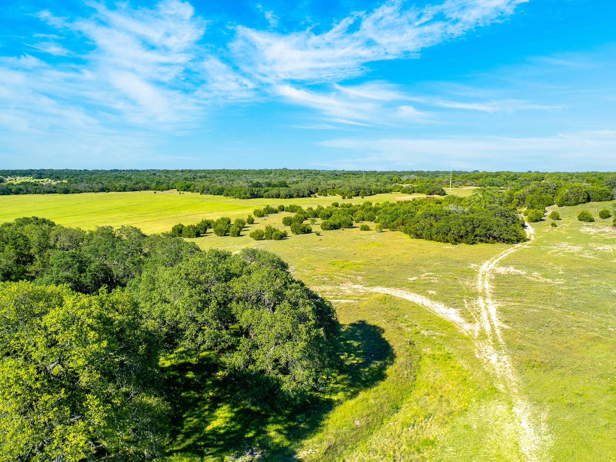 32 Feild Ranch Road Burnet, TX 78611 - Photo 16 of 40 Acres of verdant fields with scattered trees offer a private, natural setting under open skies.