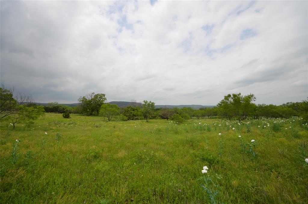 Tbd Tbd Grouse Ridge Palo Pinto, TX 76484 - Photo 8 of 8 View of local wilderness with a rural view