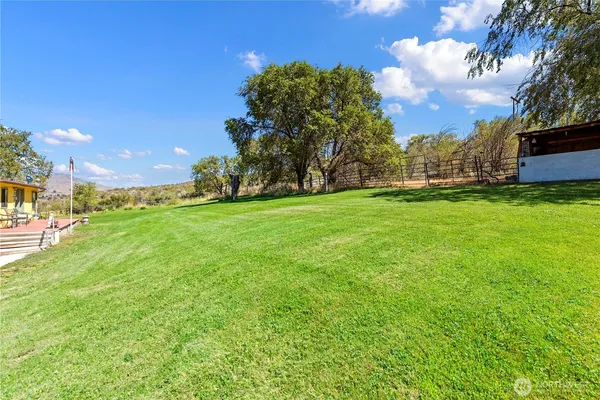 a big yard with large trees