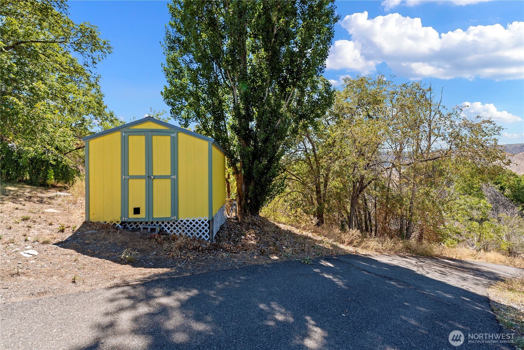 106 Silvest Road Orondo, WA 98843 - Photo 38 of 38 a big yard with large trees