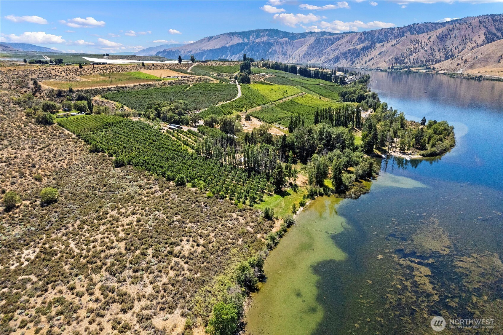 106 Silvest Road Orondo, WA 98843 - Photo 5 of 38 a view of a lake with a mountain in the background