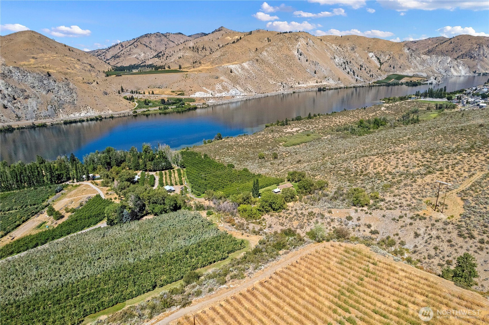 106 Silvest Road Orondo, WA 98843 - Photo 7 of 38 a view of a yard with a mountain