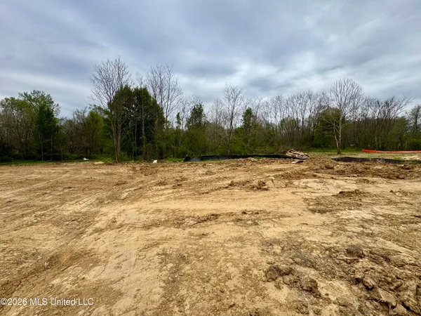 $777,000 | 324 Oakworth Drive, Hernando, MS 38632