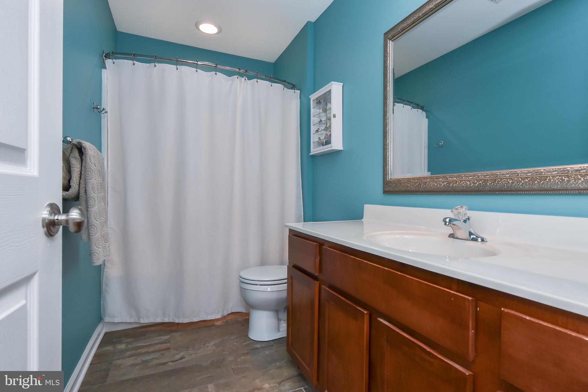 197 Old Locust Point Road Elkton, MD 21921 - Photo 27 of 30 Hall bathroom with large vanity for storage