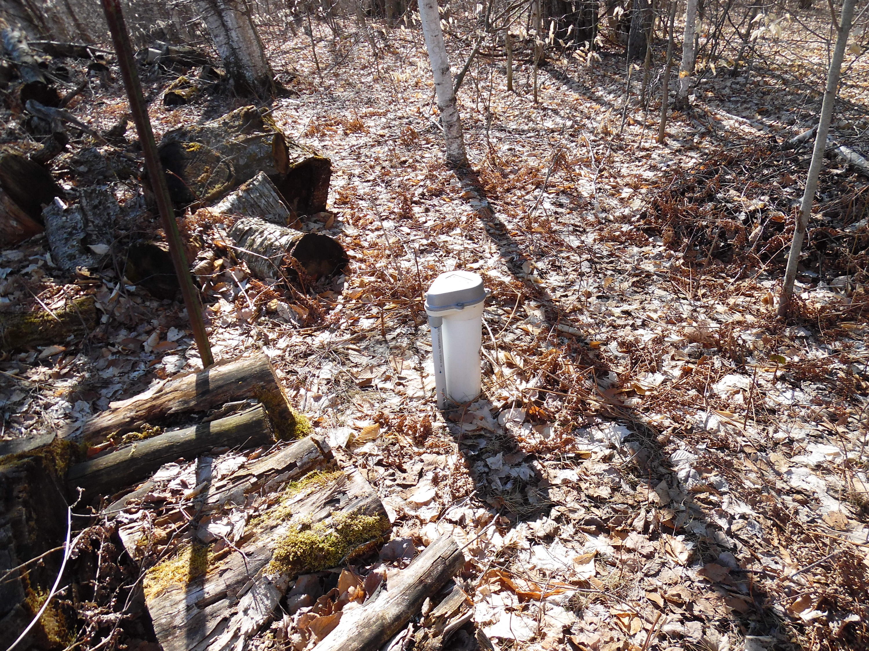 15800 Hebron Mail Road Cheboygan, MI 49721 - Photo 18 of 22 Gallery Image 18