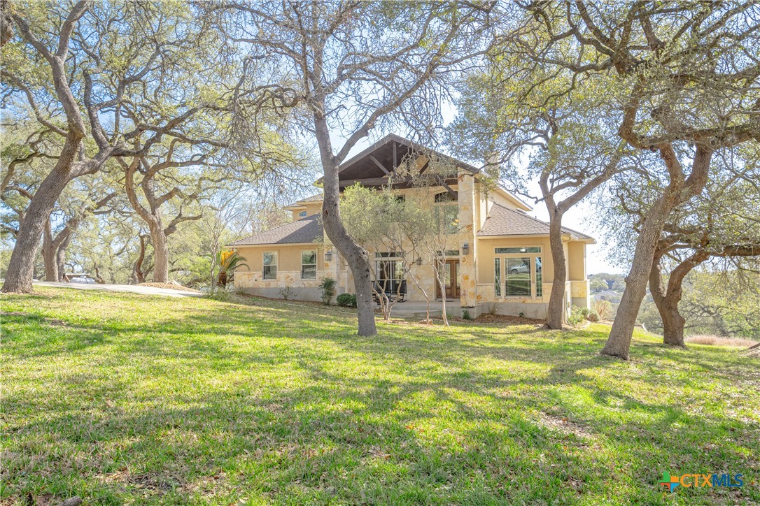 a large tree in the garden in the front of the house