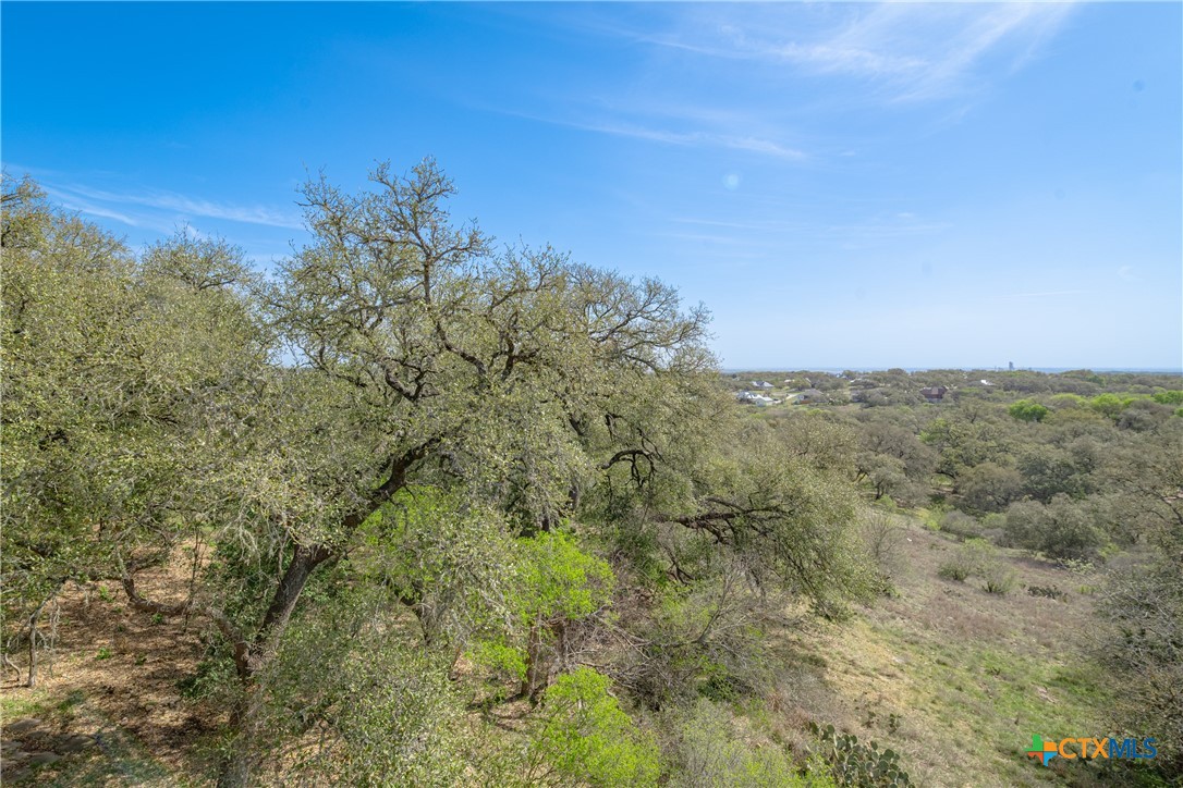 451 Winding View New Braunfels, TX 78132 - Photo 39 of 47 a view of a field with an ocean