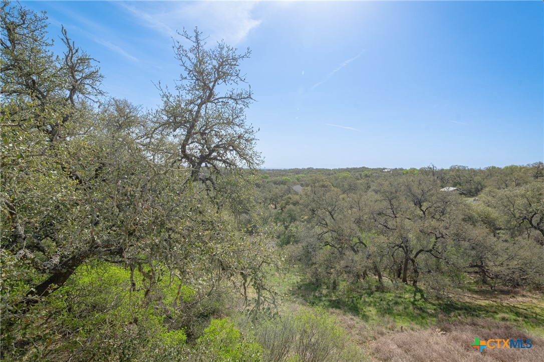 451 Winding View New Braunfels, TX 78132 - Photo 40 of 47 a view of a dry yard with large trees