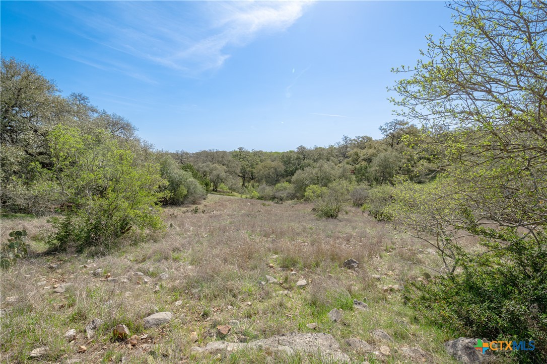 451 Winding View New Braunfels, TX 78132 - Photo 42 of 47 a view of a field with trees in the background