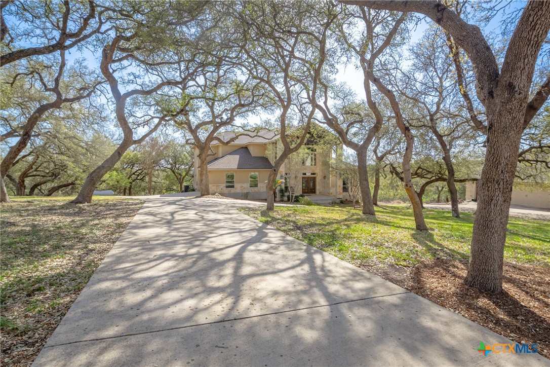 451 Winding View New Braunfels, TX 78132 - Photo 47 of 47 a view of yard with trees in the background