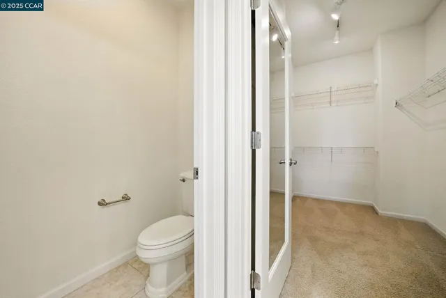 a view of a backyard with plants and a garden