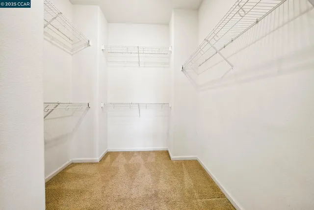 a view of a potted plants in front of a building