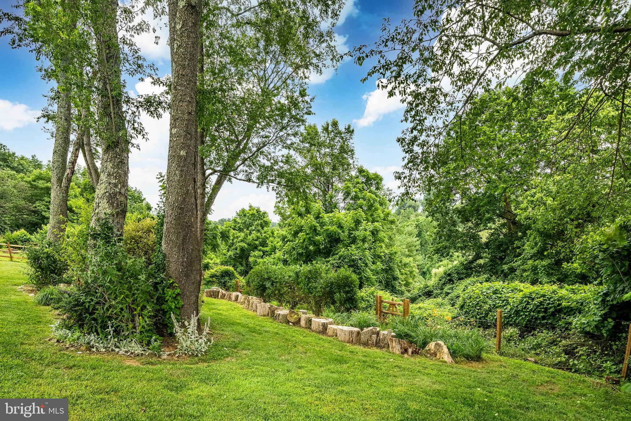 1009 North Ridge Road Chadds Ford, PA 19317 - Photo 6 of 55 Backyard