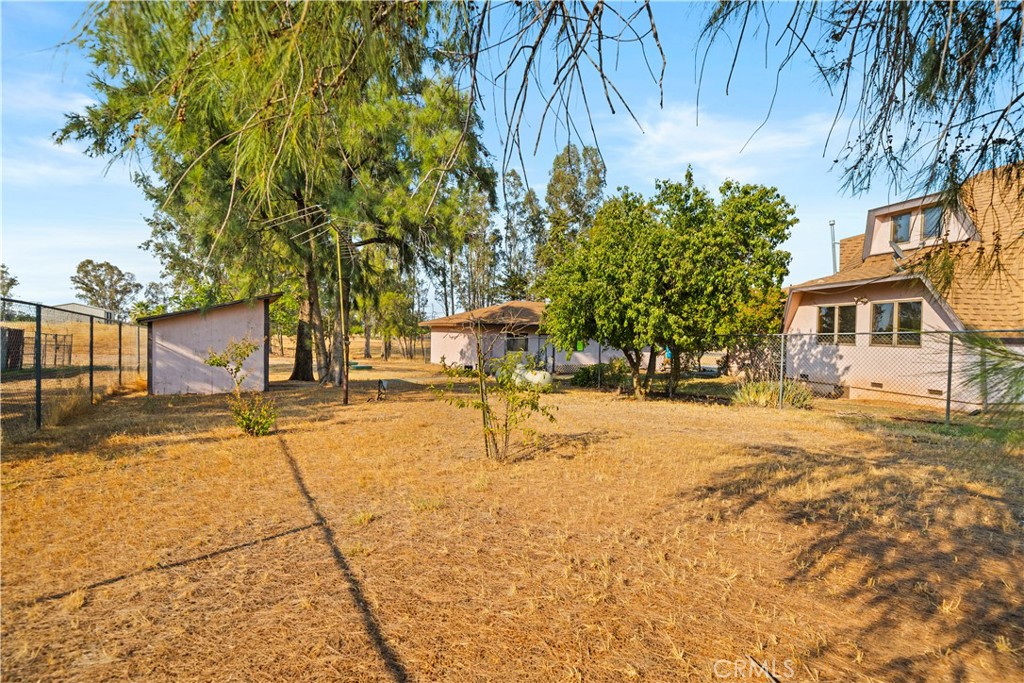 4345 Hall Road Corning, CA 96021 - Photo 34 of 52 a view of a yard with plants and trees