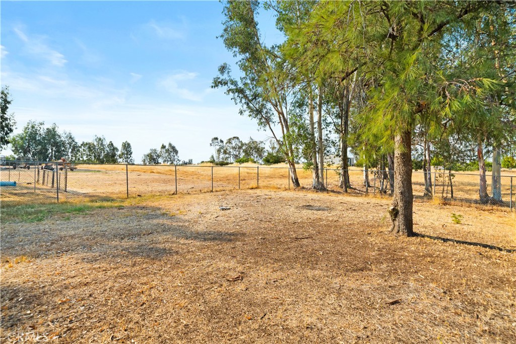 4345 Hall Road Corning, CA 96021 - Photo 38 of 52 a view of yard with trees