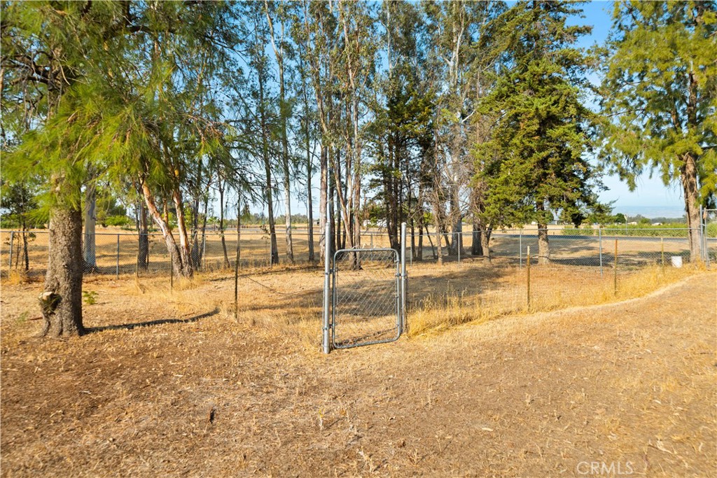 4345 Hall Road Corning, CA 96021 - Photo 38 of 52 a view of yard with swimming pool