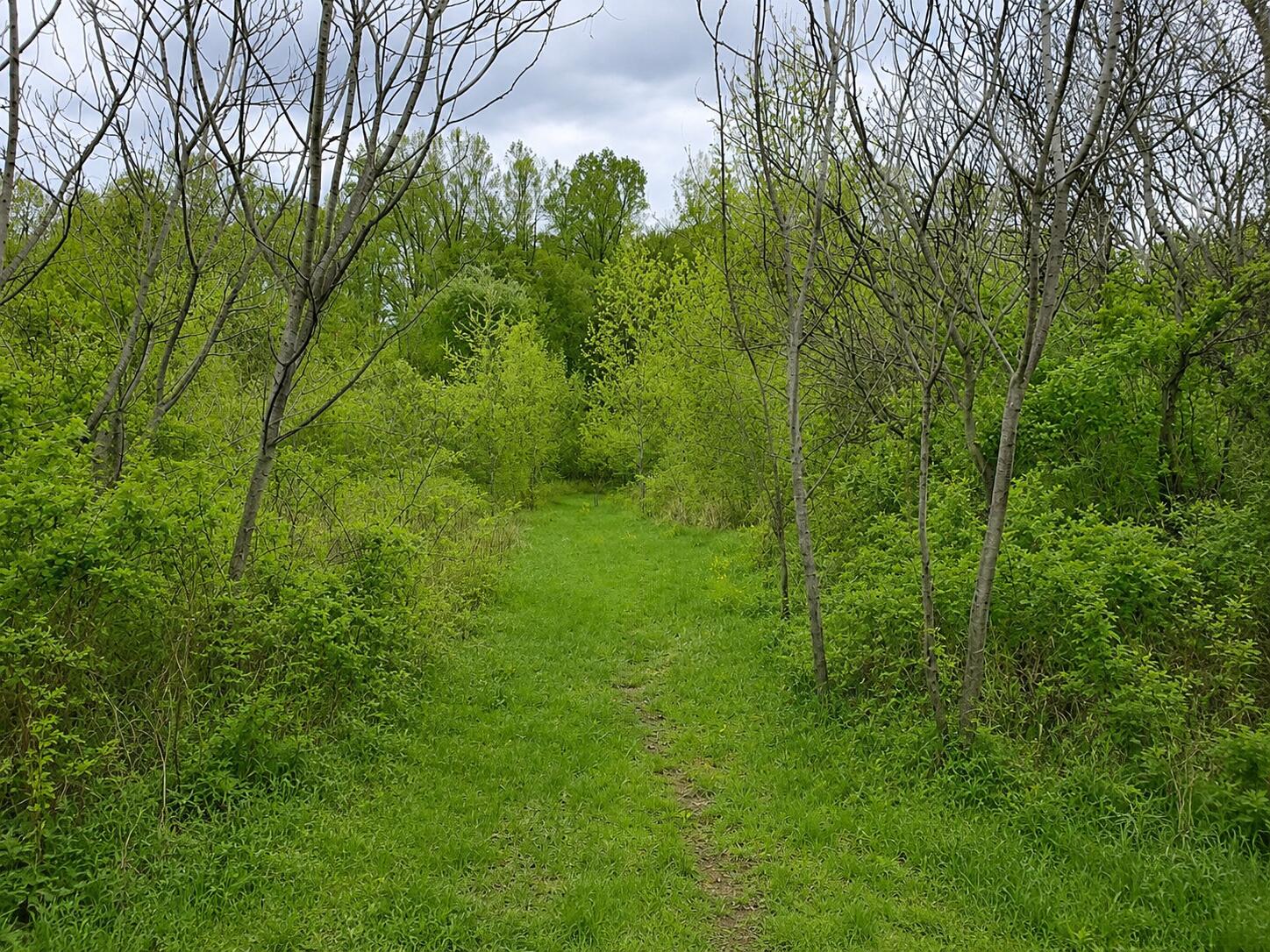 8400 Kruger Road Three Oaks, MI 49128 - Photo 7 of 8 8400 Kruger