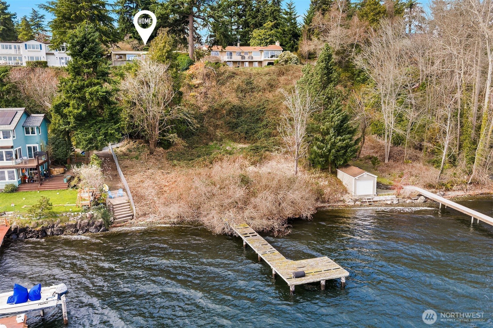 6555 Northeast Windermere Road Seattle, WA 98105 - Photo 35 of 38 a view of a yard with plants