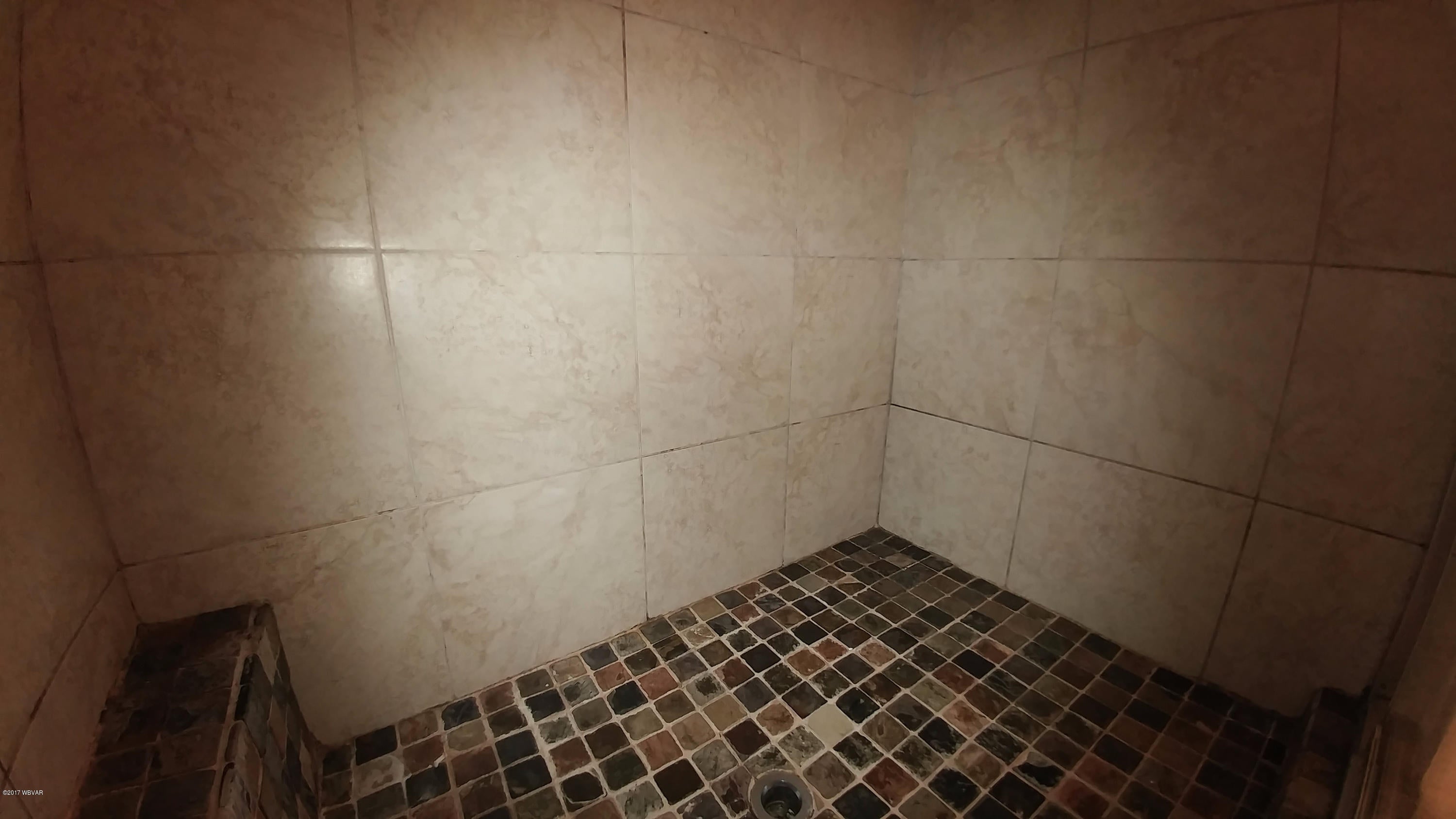 1 Round Hill Road Williamsport, PA 17701 - Photo 16 of 27 Tiled Shower