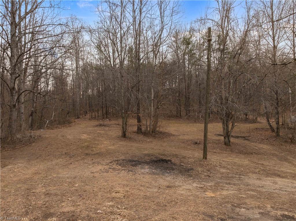 1373 Brim Road Mount Airy, NC 27030 - Photo 42 of 50