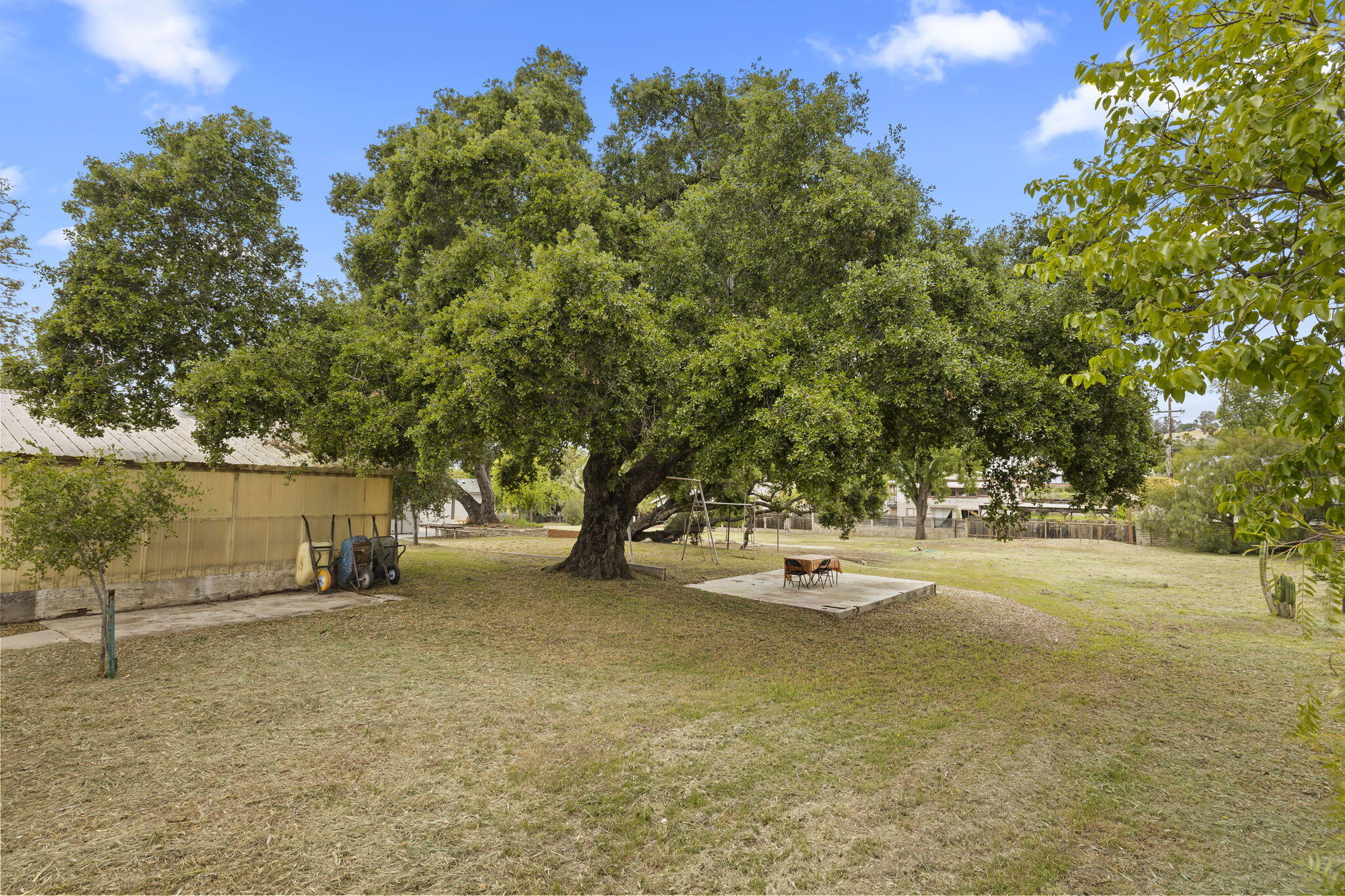 350 Old Grade Road Oak View, CA 93022 - Photo 46 of 59 a view of a yard with a tree