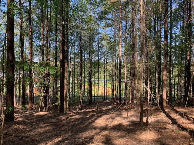 35 Crow Road Northeast Dalton, GA 30721 - Photo 2 of 3 Gallery Image 2
