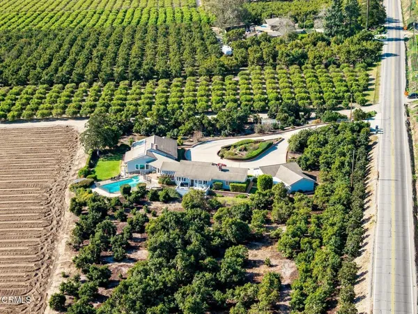 a view of a garden with plants