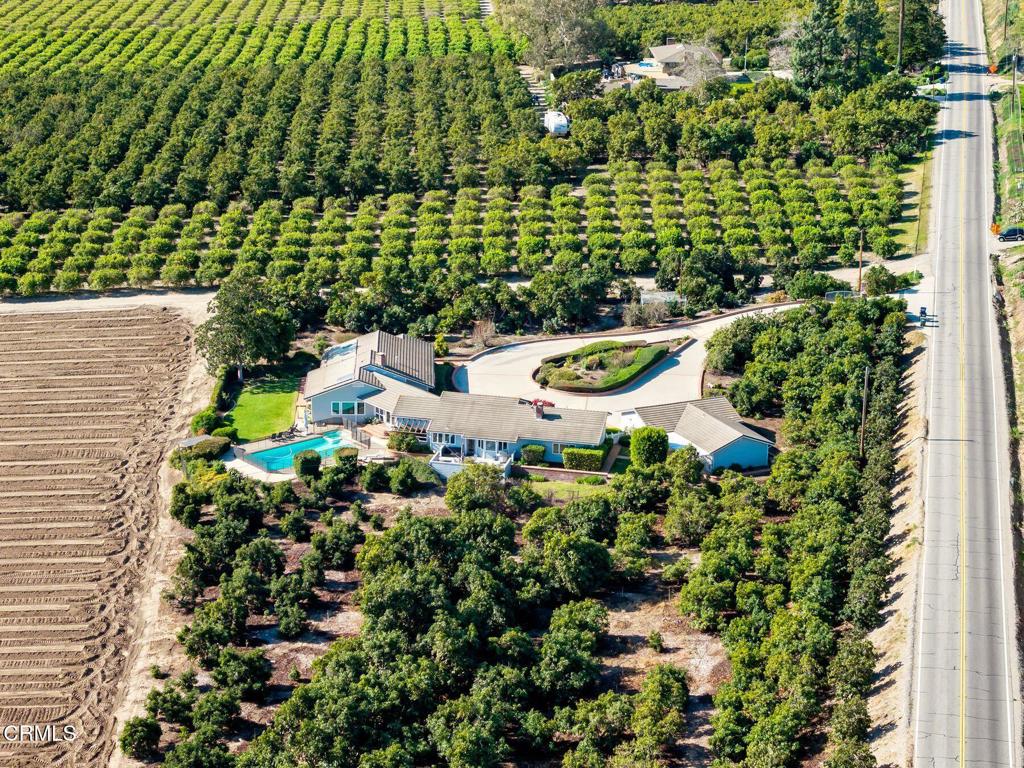 13922 Foothill Road Santa Paula, CA 93060 - Photo 2 of 36 a view of a garden with plants