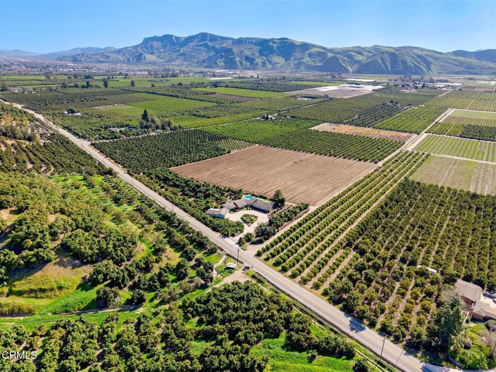 13922 Foothill Road Santa Paula, CA 93060 - Photo 6 of 6 44 Acres