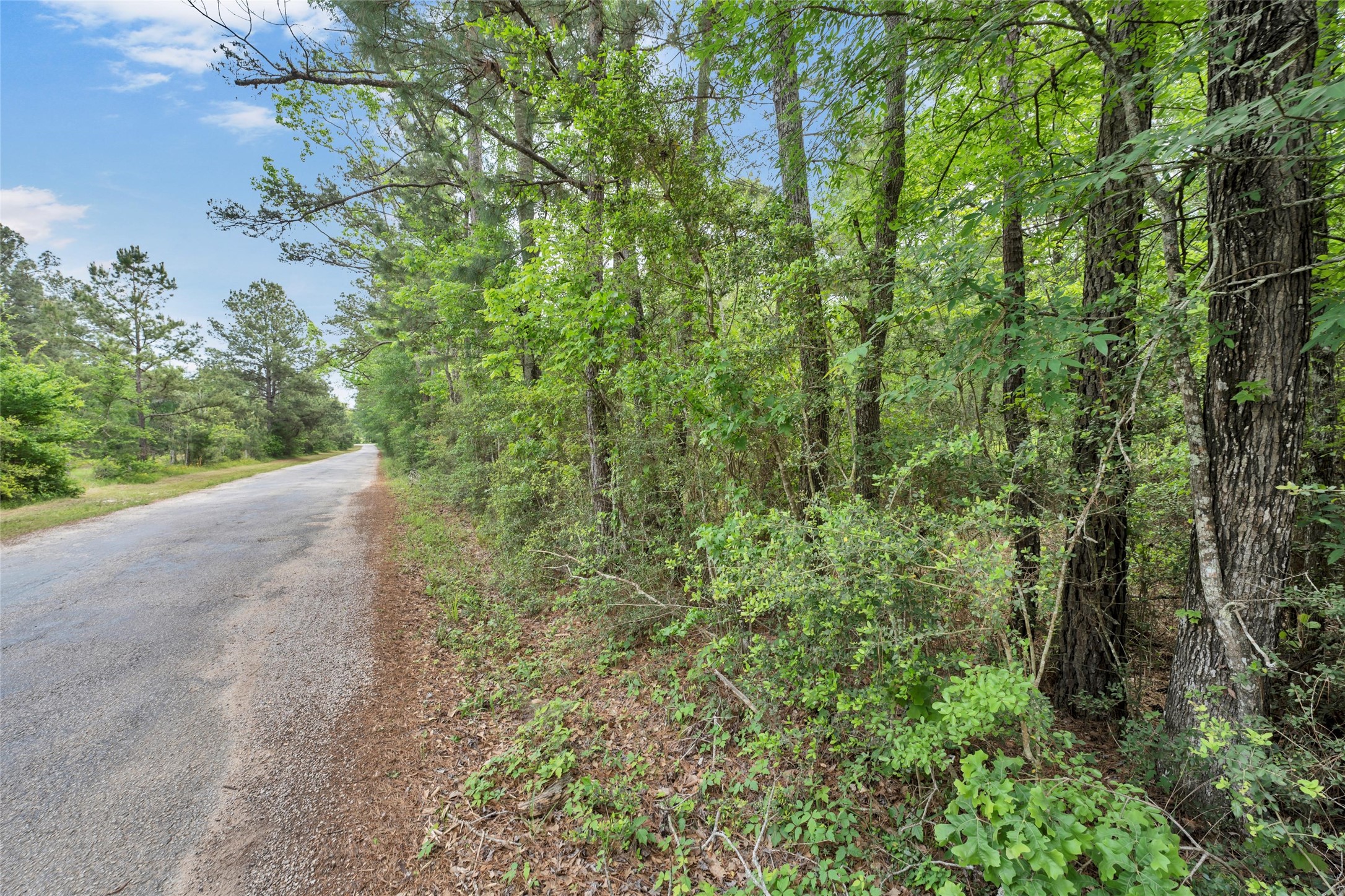 399 Pool Road Richards, TX 77873 - Photo 5 of 9