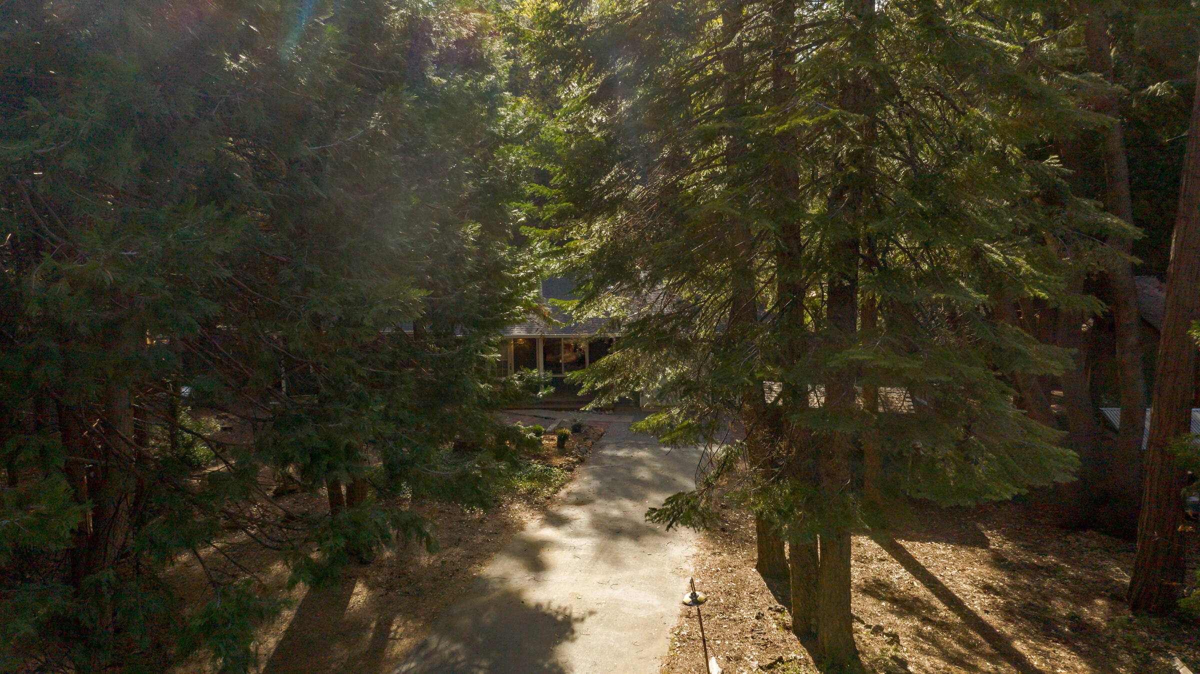 8457 Starlite Pines Road Shingletown, CA 96088 - Photo 25 of 28 Drone