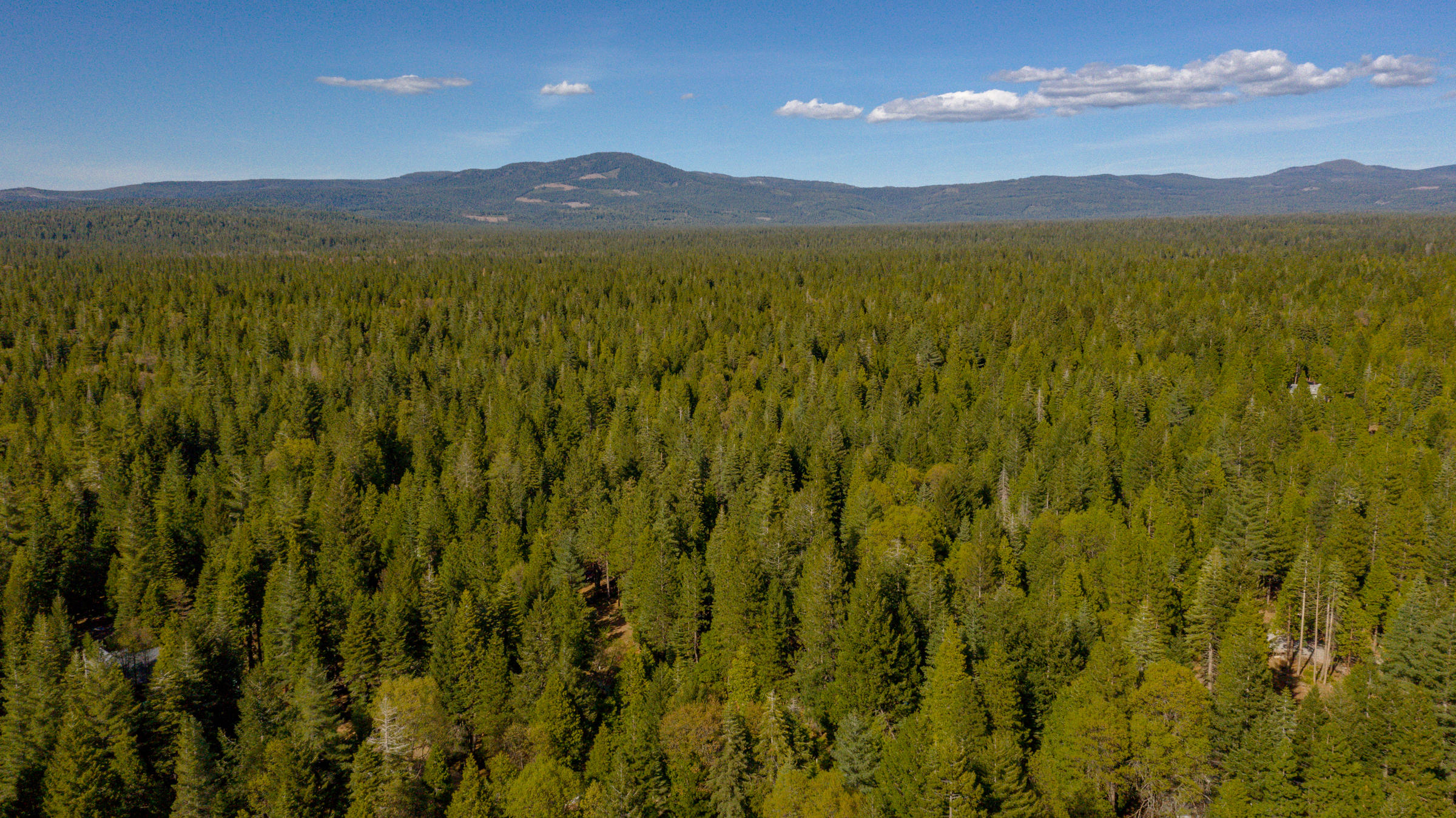8457 Starlite Pines Road Shingletown, CA 96088 - Photo 28 of 28 Drone
