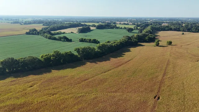 an aerial view of a houses with a yard and lake view