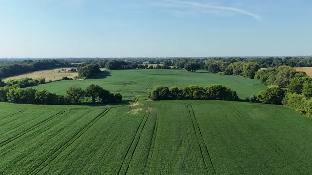 a view of a golf course with a park