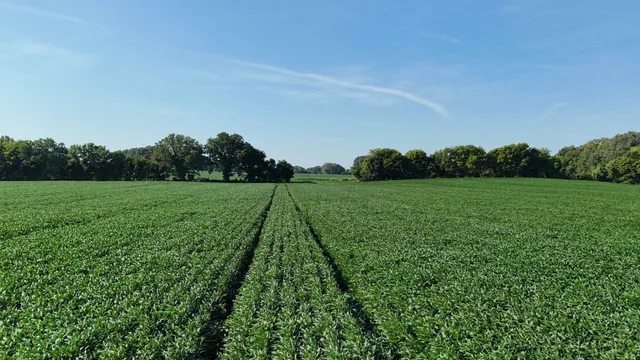 a view of a grassy field