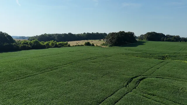 a view of grassy field with mountain