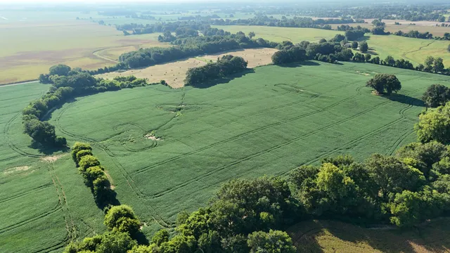 an aerial view of a houses with a yard