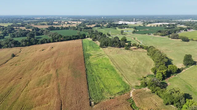 a view of a lake with a city