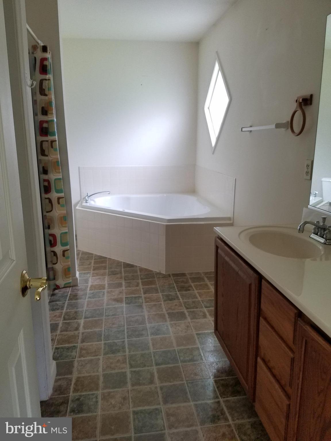 13837 Post Oak Road Spotsylvania, VA 22551 - Photo 23 of 30 Bath (Master) double vanity and separate shower